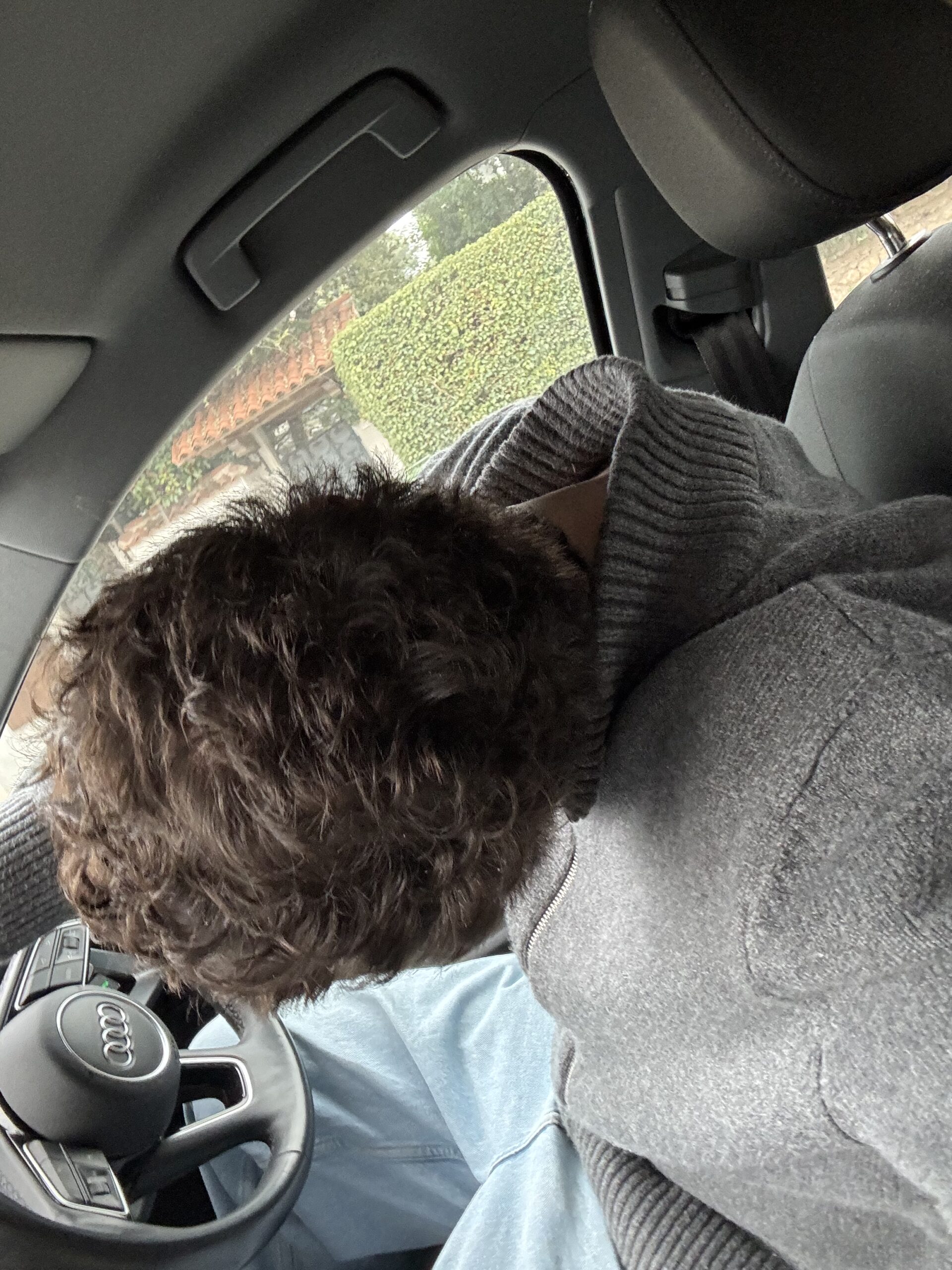 B/A 1 - After treatment